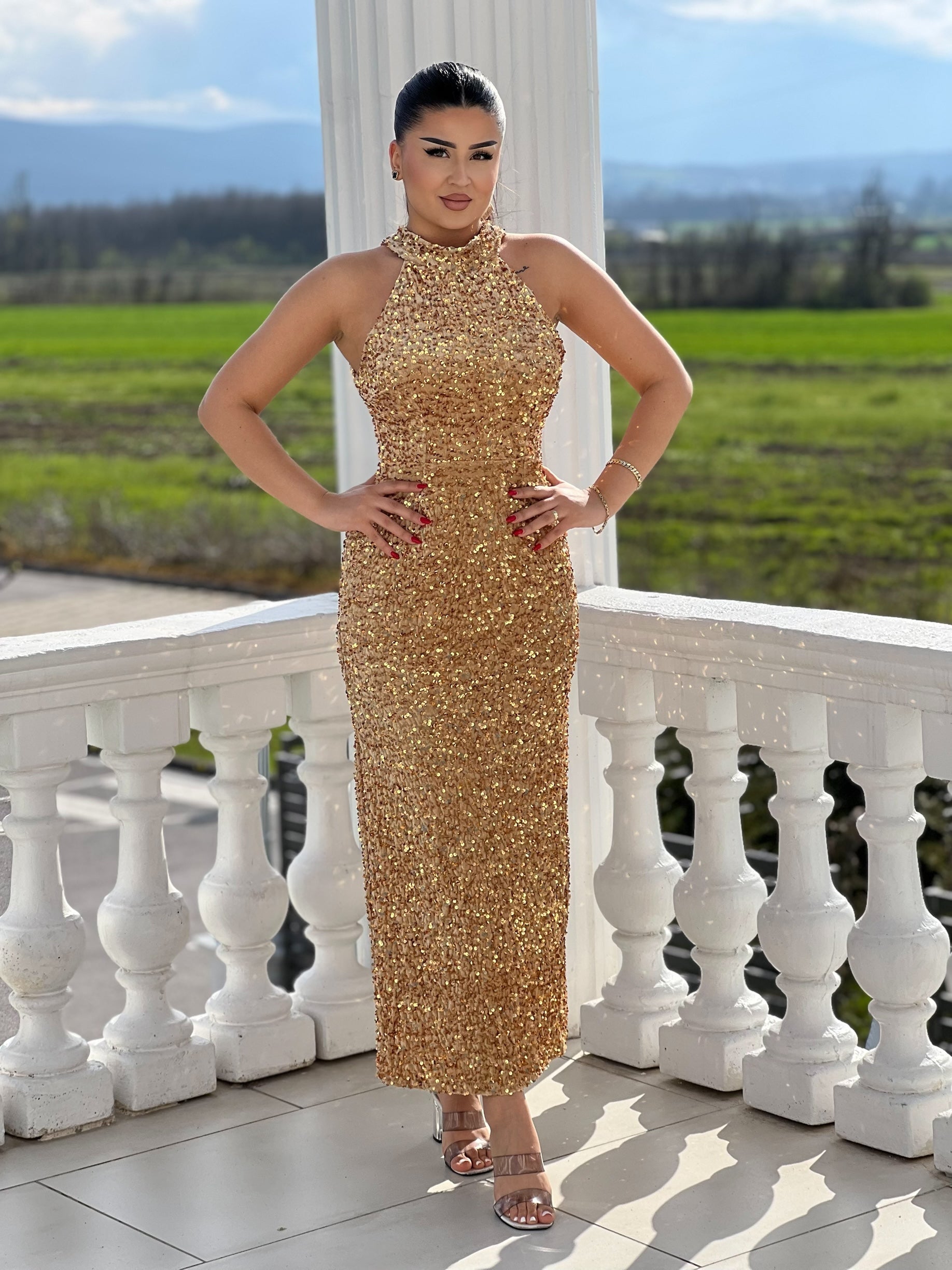 Elegant Glitter Dress