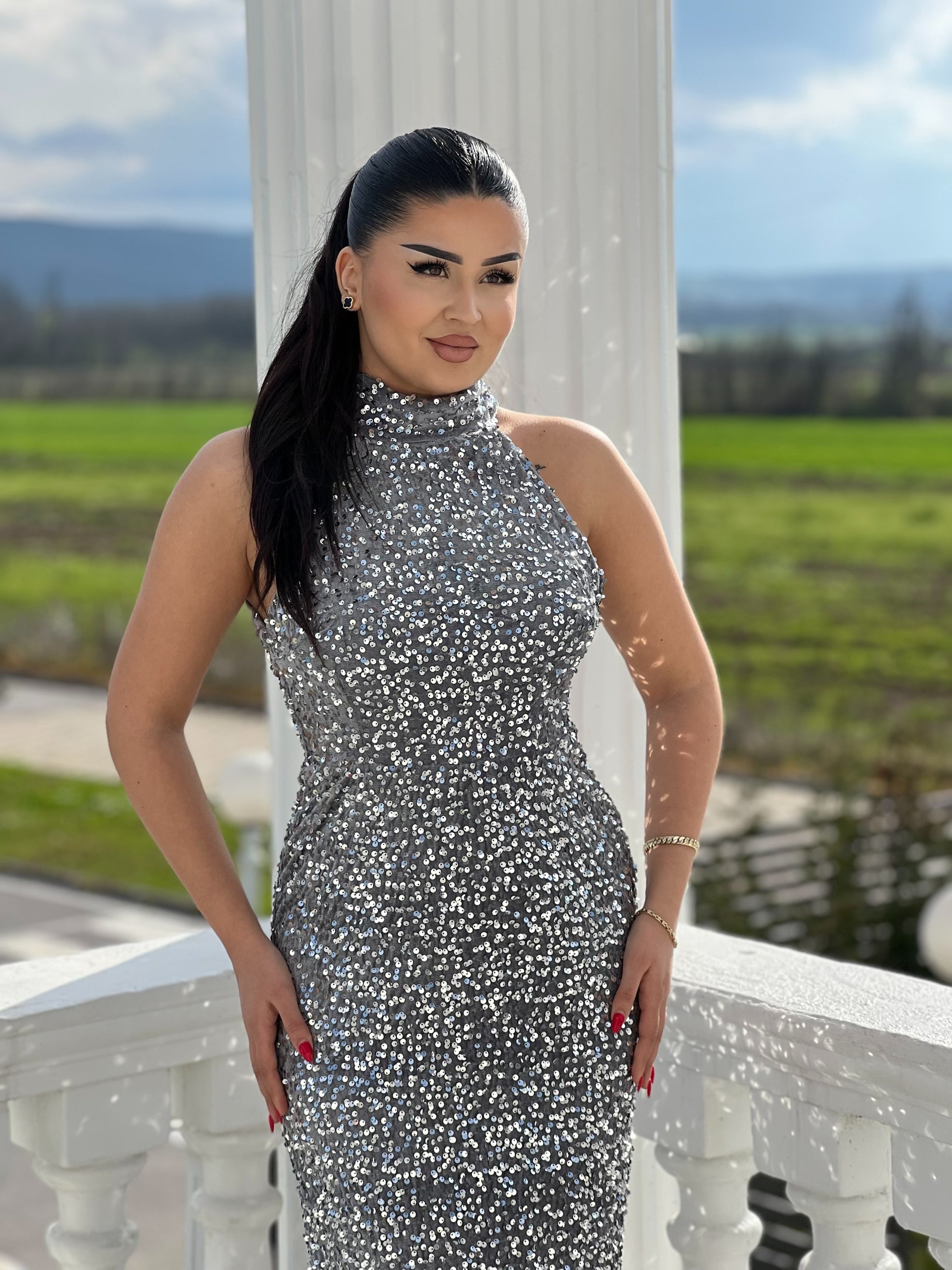Elegant Glitter Dress