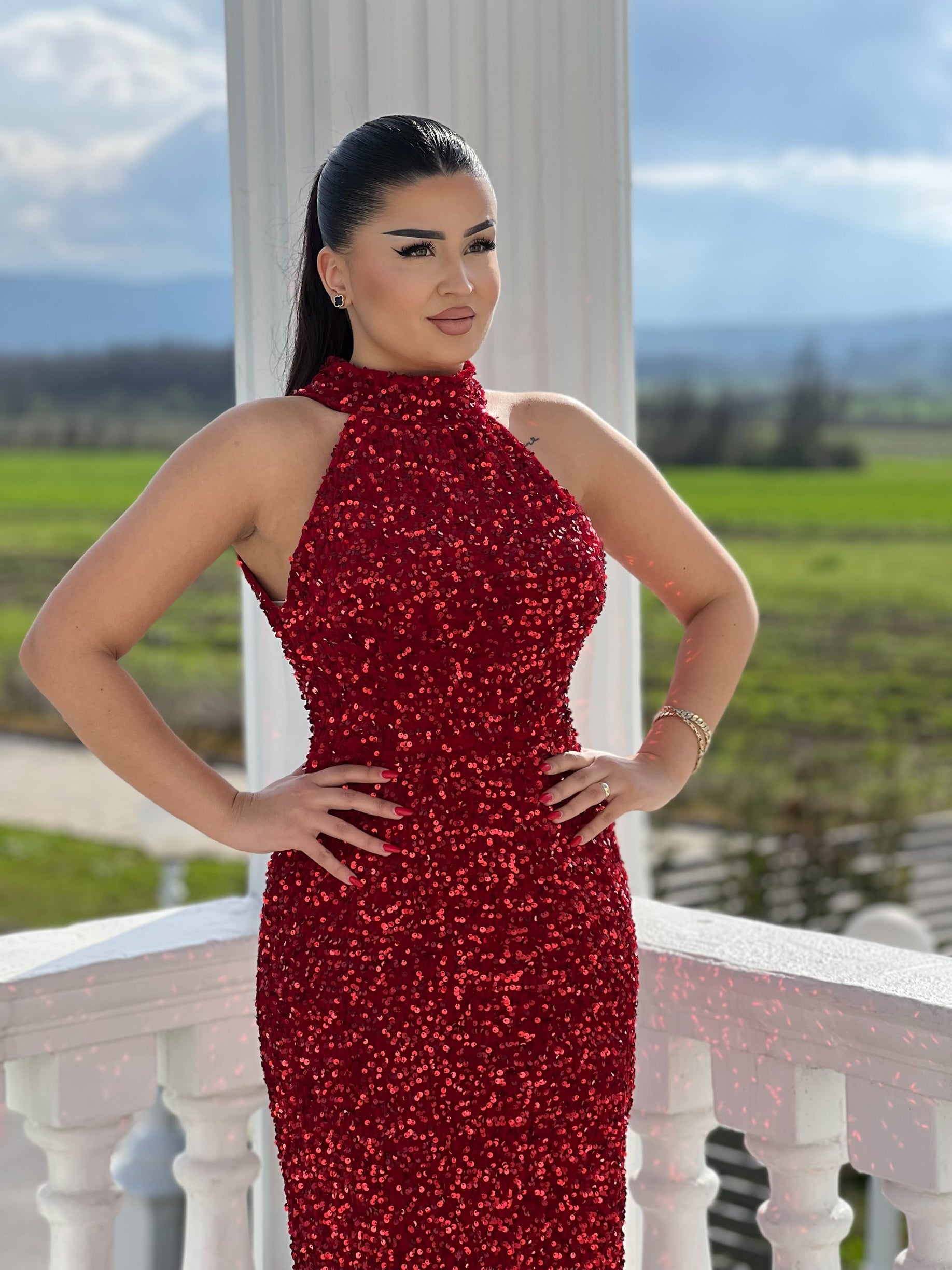 Elegant Glitter Dress