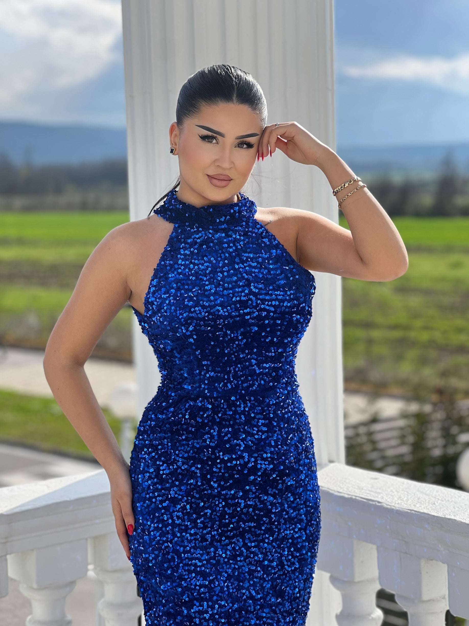 Elegant Glitter Dress